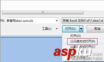 怎么以只讀方式打開excel文檔？
