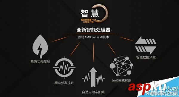 AMD,Ryzen5,國行