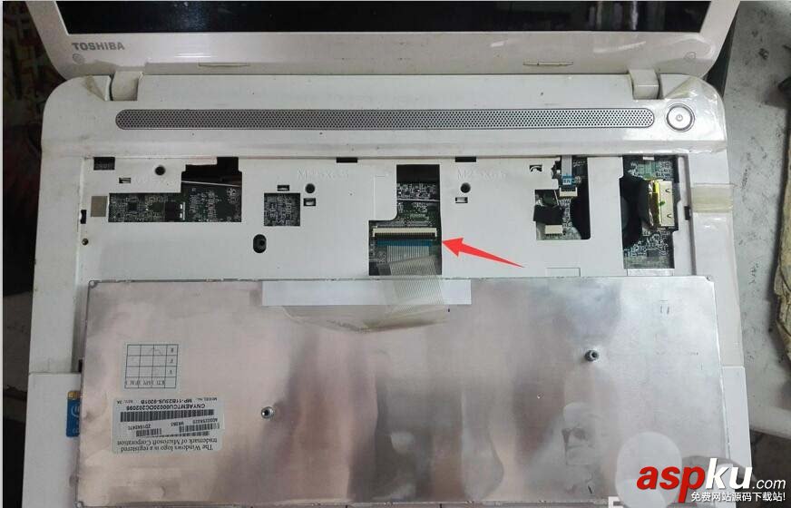 東芝,筆記本