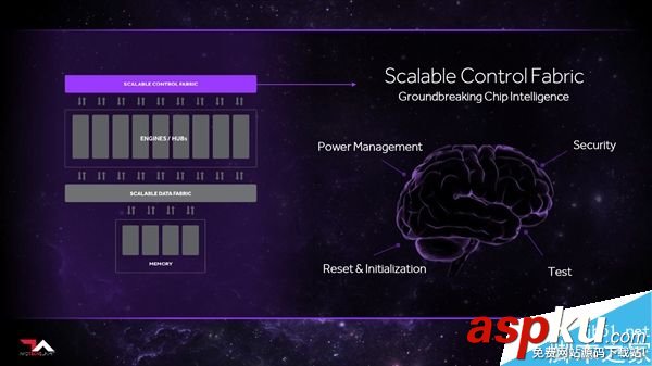 AMD,架構