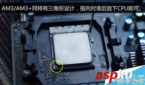 AMD,CPU,散熱器