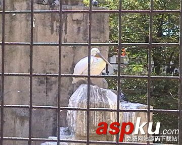 數碼攝像,對焦,技巧