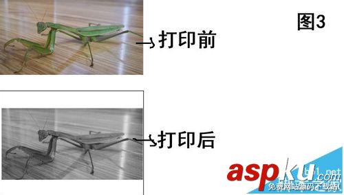 打印機