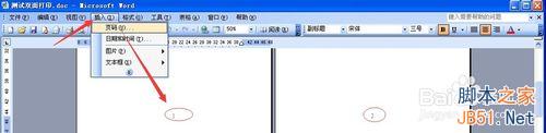 手動,雙面,打印