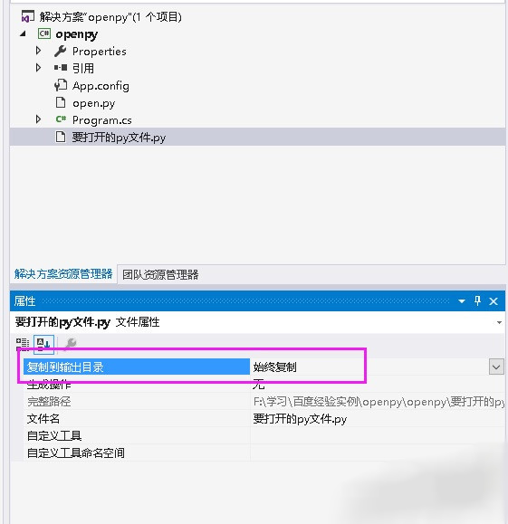 c#,打開,py文件
