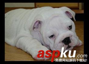 手機內存卡壞了怎么辦?能修復嗎?