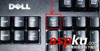 小鍵盤