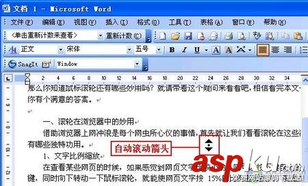 滾輪,鼠標