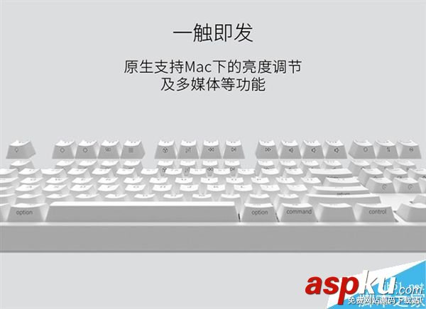 機械,鍵盤,編程