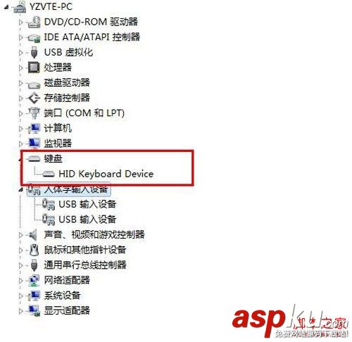 不識別,USB鍵盤