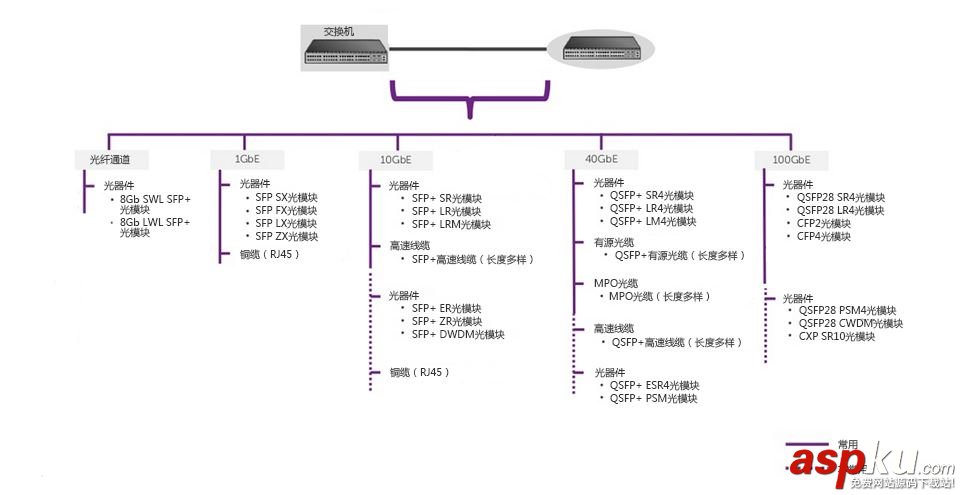 存儲區域網絡,光模塊,光纖跳線