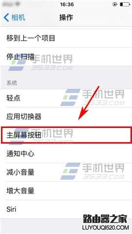 蘋果iPhone6sPlus如何設置切換控制