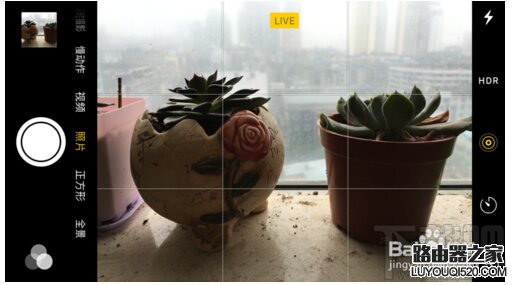 iPhone6s Live Photos怎么拍？蘋果Live Photos怎么用