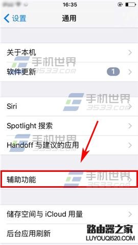 蘋果iPhone6sPlus如何設置切換控制