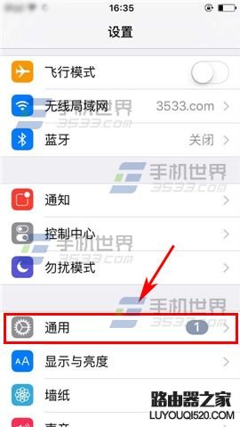 蘋果iPhone6sPlus如何設置切換控制