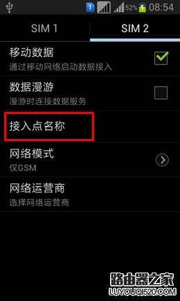 接入點名稱