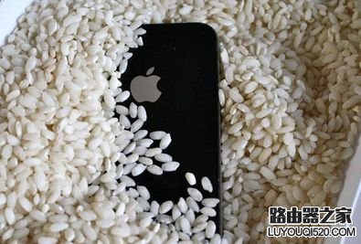 iphone6s掉水里怎么辦？iphone6s掉入水中的處理方法