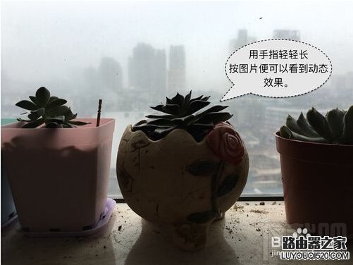 iPhone6s Live Photos怎么拍？蘋果Live Photos怎么用