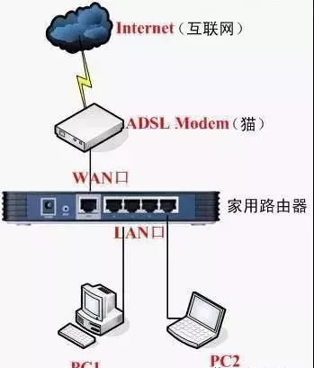 網線、貓和路由器是怎么連接的？