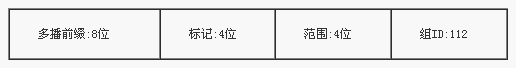 IPV6,網絡協議,IPV6地址,報文格式