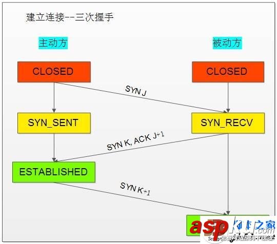 TCP協議
