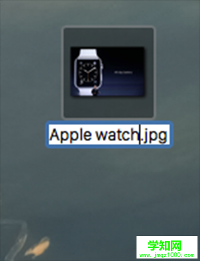 mac os文件重命名,mac os 重命名,mac系統怎么重命名,mac系統重命名
