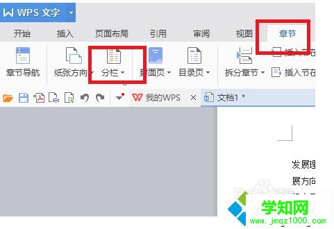 如何用WPS來設置分欄使排版更加整潔和美觀