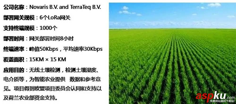 LoRa,NB-IoT,lora無線,廣域網,通信技術