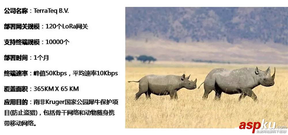 LoRa,NB-IoT,lora無線,廣域網,通信技術