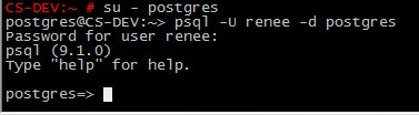 PostgreSQL 角色與用戶管理介紹