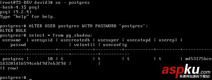 CentOS 6.3下PostgreSQL 的安裝與配置