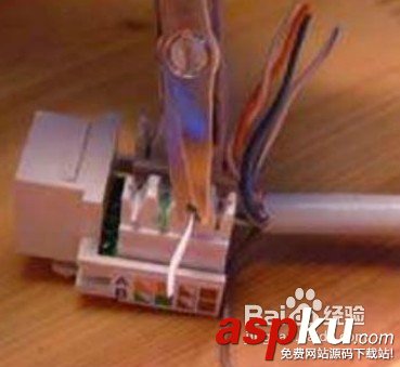 網線插座,網線模塊