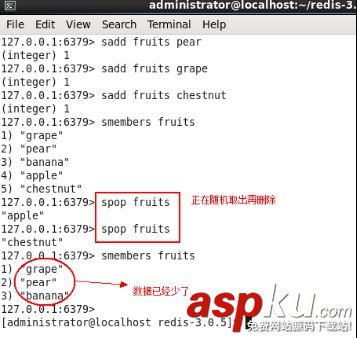 redis,集合類型