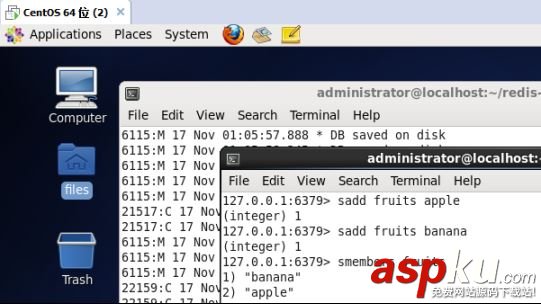 redis,集合類型