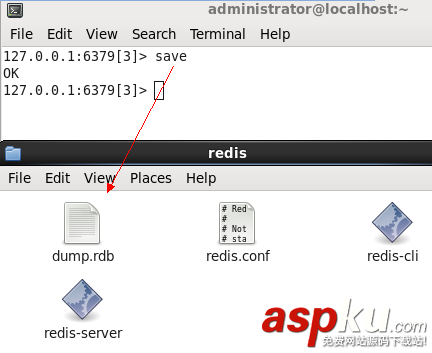 redis,RDB結構