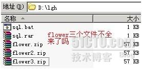 Bat腳本處理
