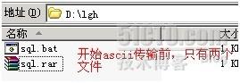 Bat腳本處理