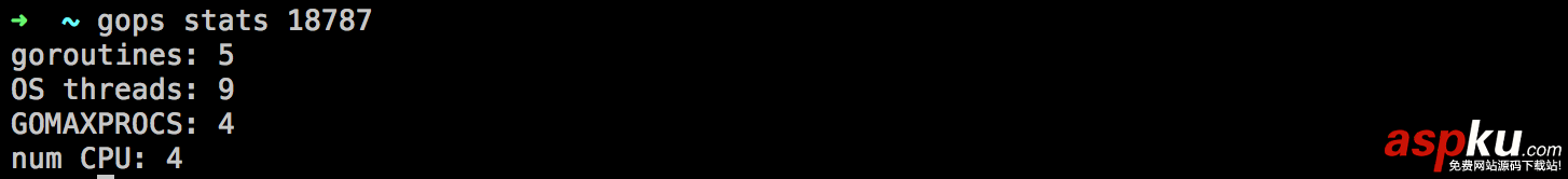 Go語言,診斷工具