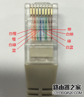 如何正確的查看網線線序？