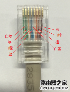 如何正確的查看網線線序？