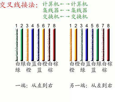 網線接頭順序是什么