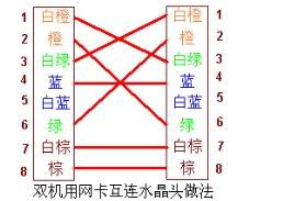 網線接頭順序是什么
