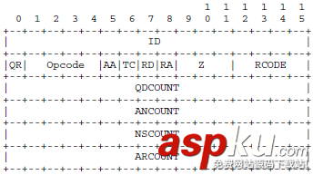 C++如何實現DNS域名解析