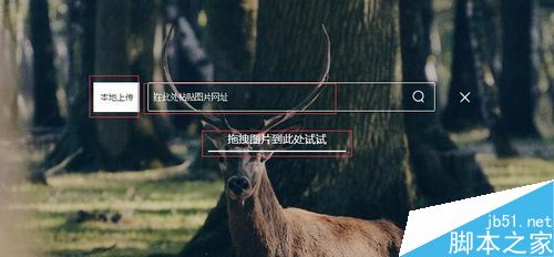 百度怎么搜圖識別？百度識圖功能教程