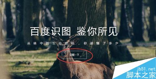 百度怎么搜圖識別？百度識圖功能教程