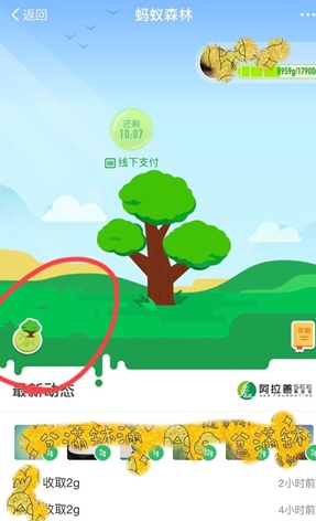 支付寶螞蟻森林模擬地圖怎么進入
