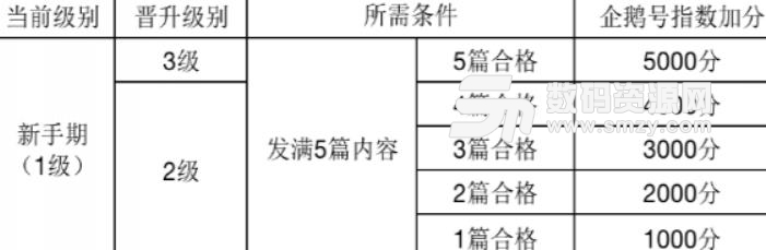 企鵝號新手期是什么 怎么通過新手期