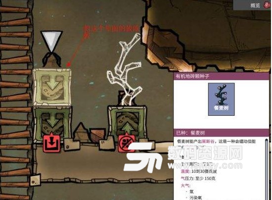 缺氧細菌版小技巧