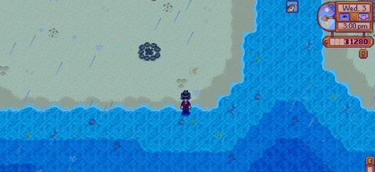 星露谷物語金星釣魚位置第二點