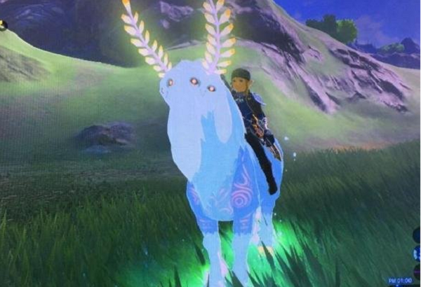 塞爾達傳說荒野之息如何獲得山之主